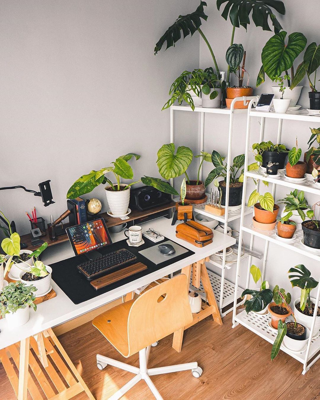 Benefits of Adding Plants To Your Office